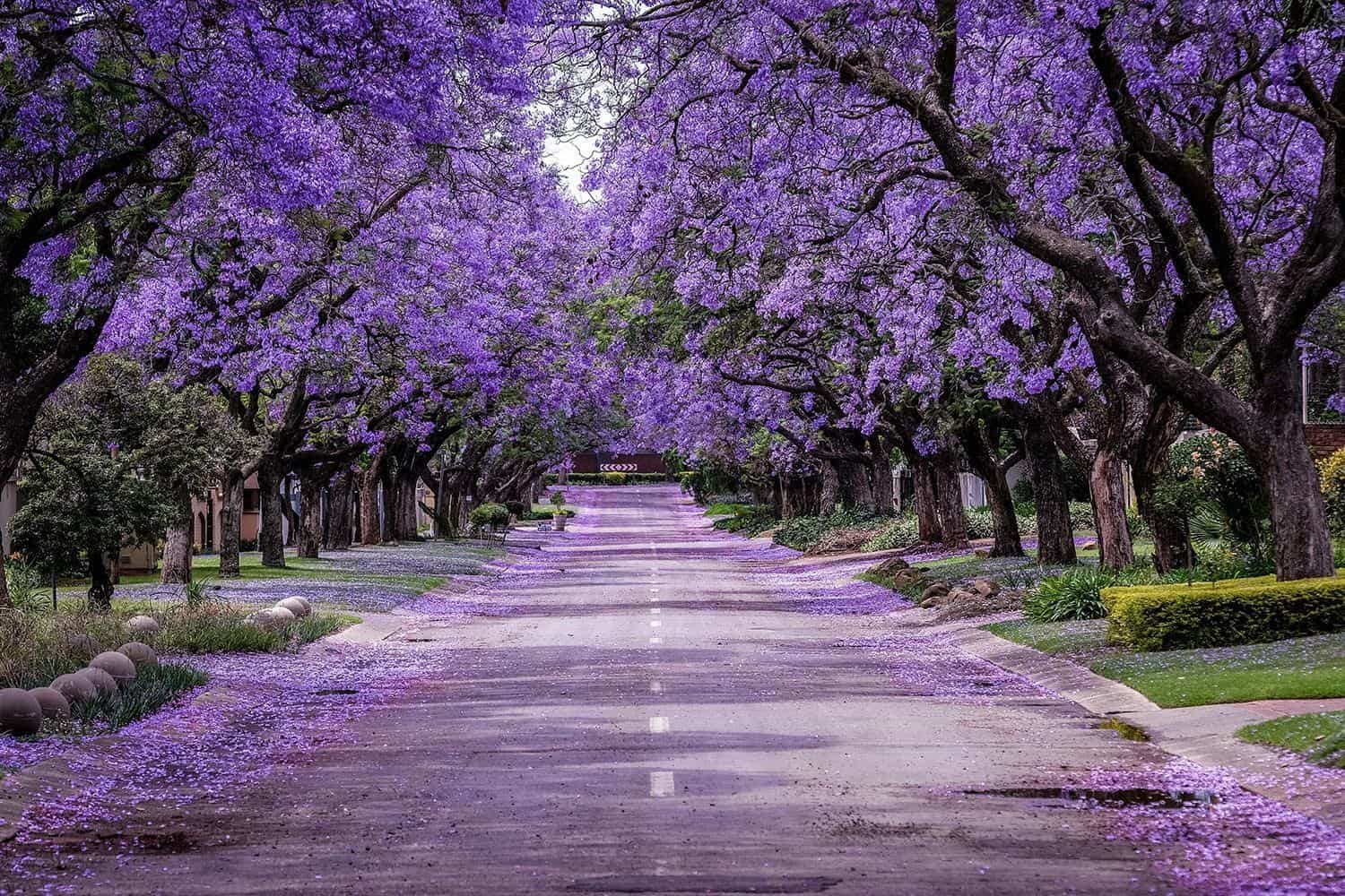 Bulawayo