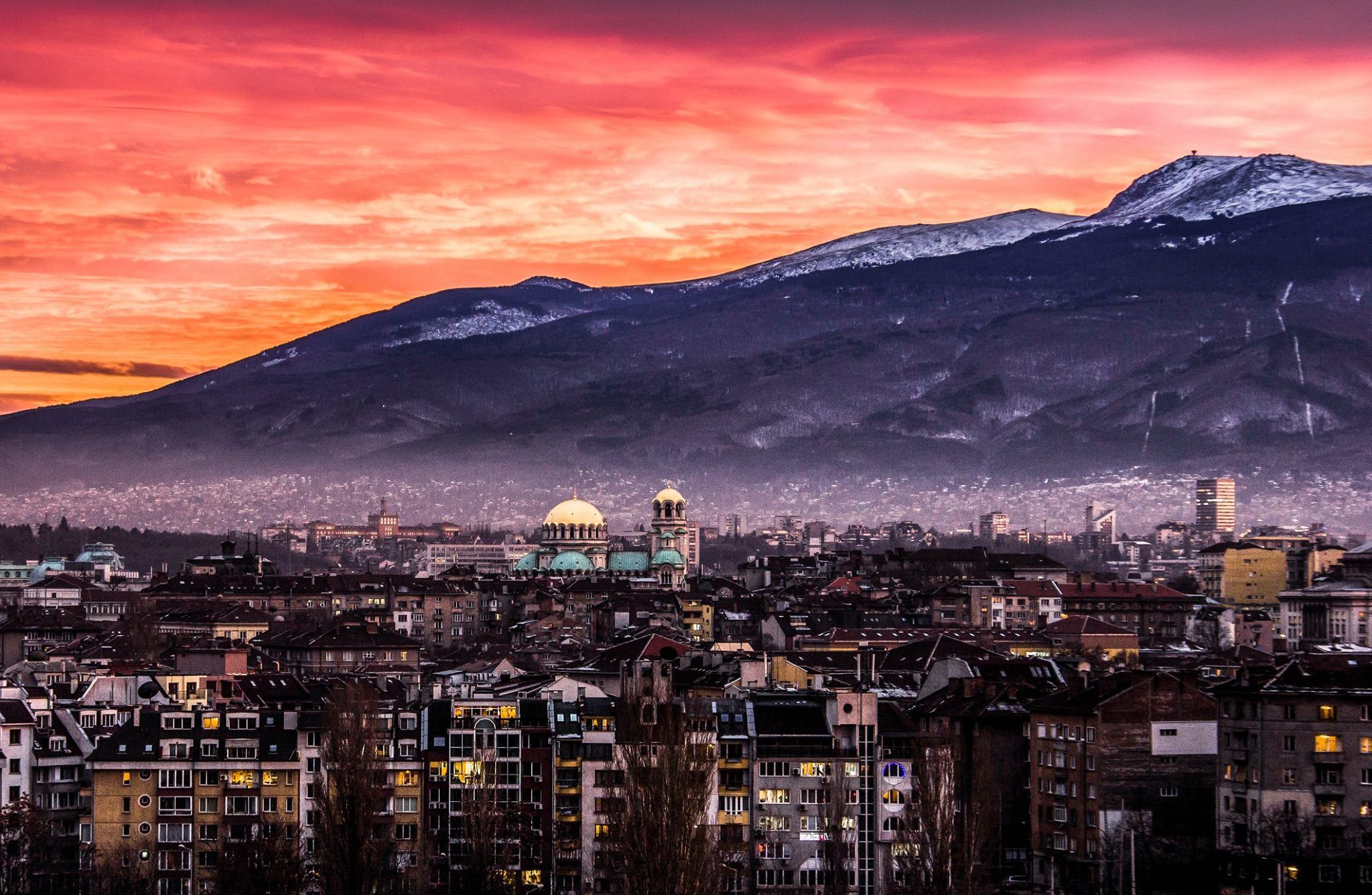 Sofia