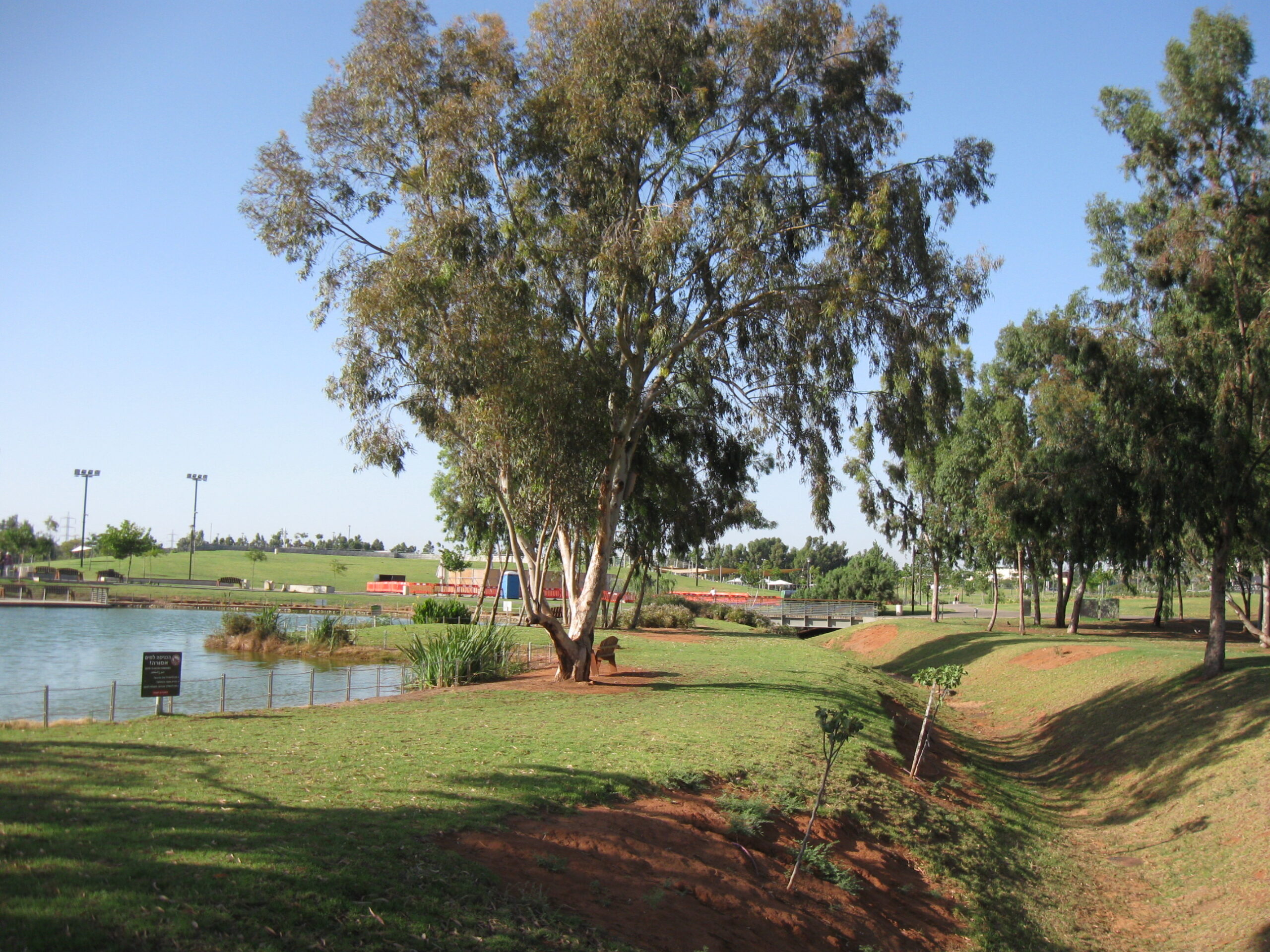 Herzliya